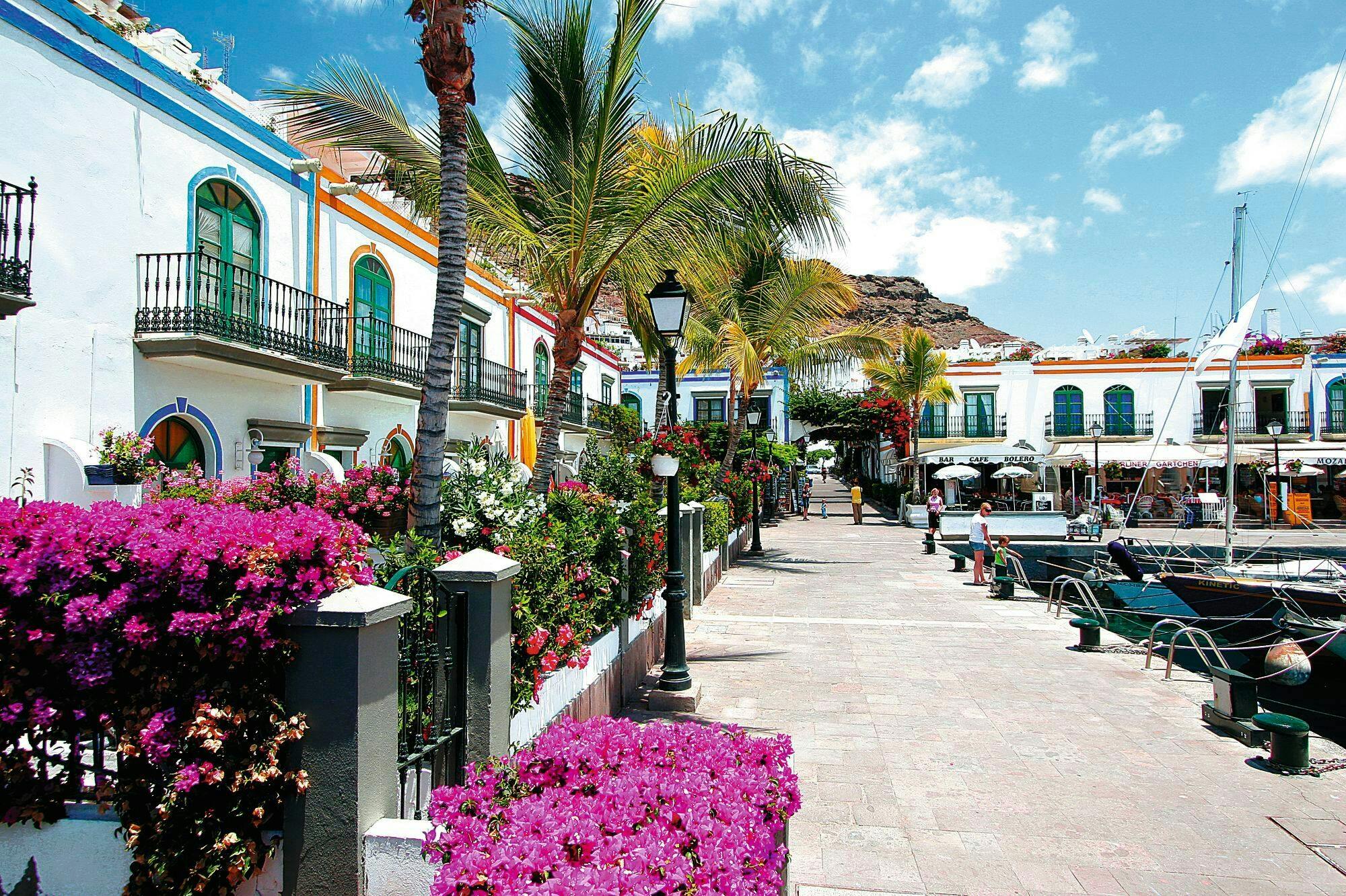 Maspalomas Sand Dunes and Puerto de Mogan Tour