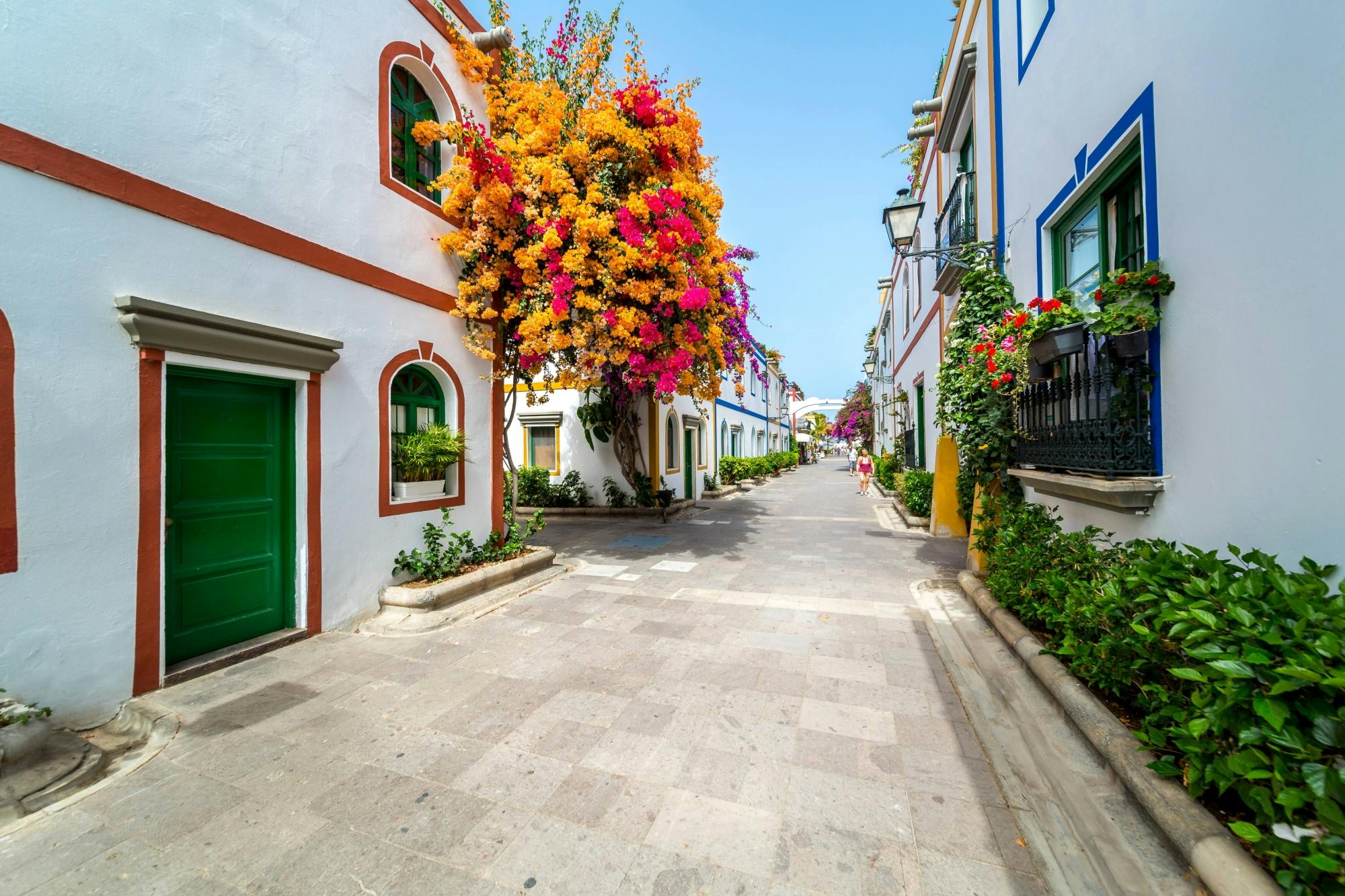 Maspalomas Sand Dunes and Puerto de Mogan Tour