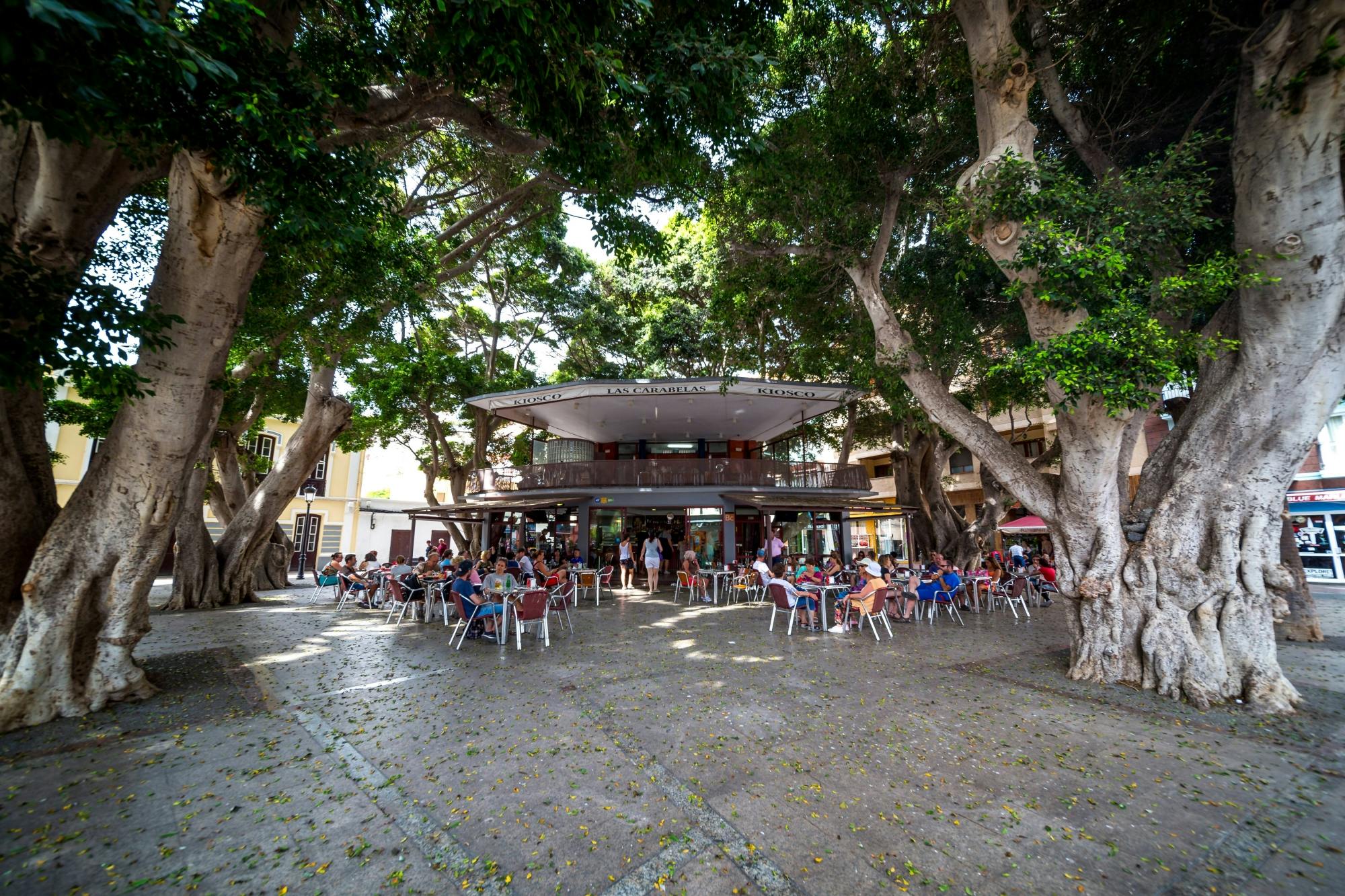 La Gomera Tour from Tenerife with Lunch