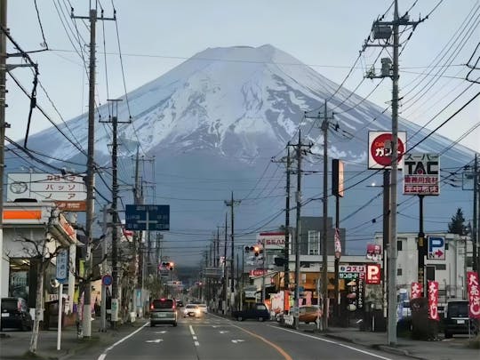 Ab Tokio: Tagestour zum Fuji und Instagram-würdige Highlights