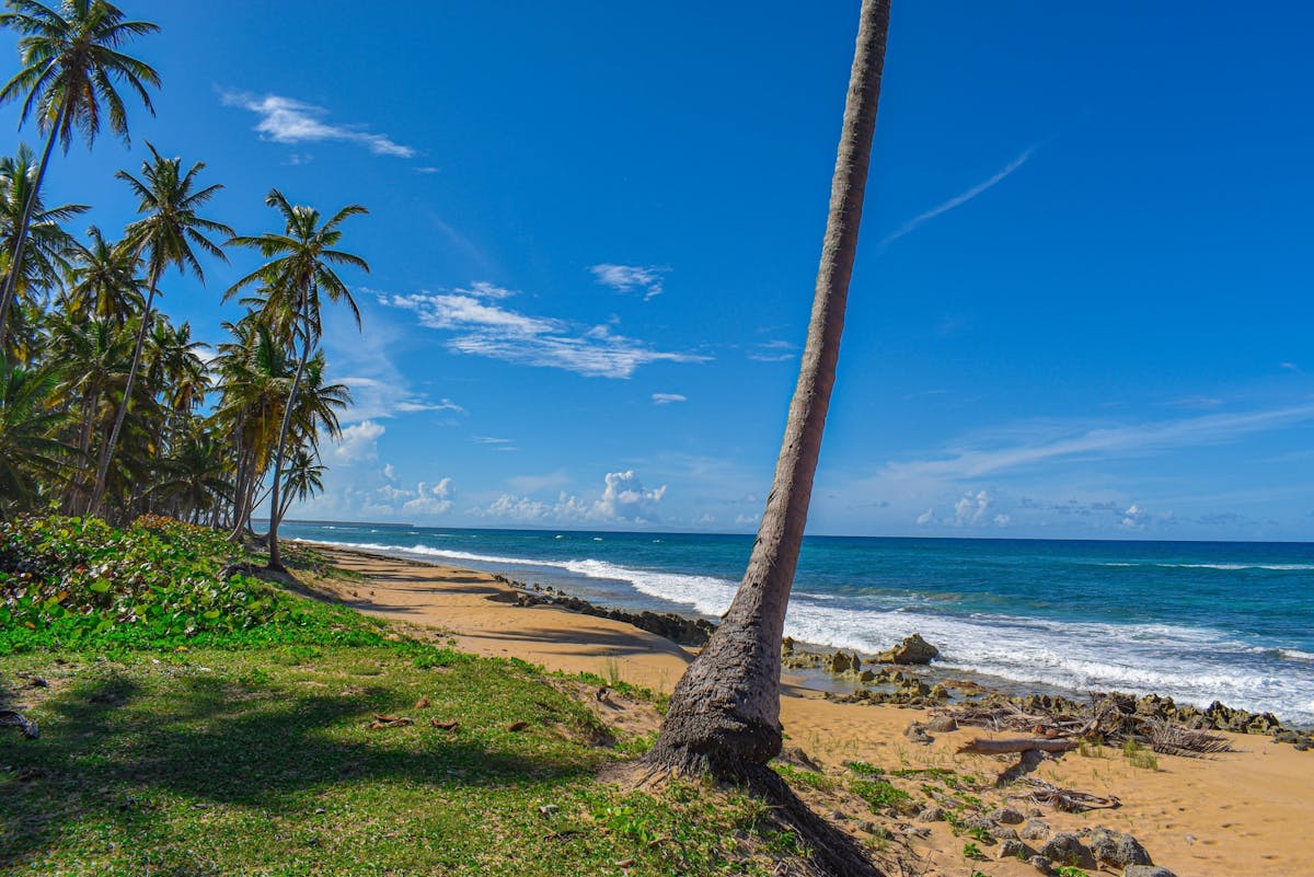 Wild Beach 4x4 Tour with Lunch