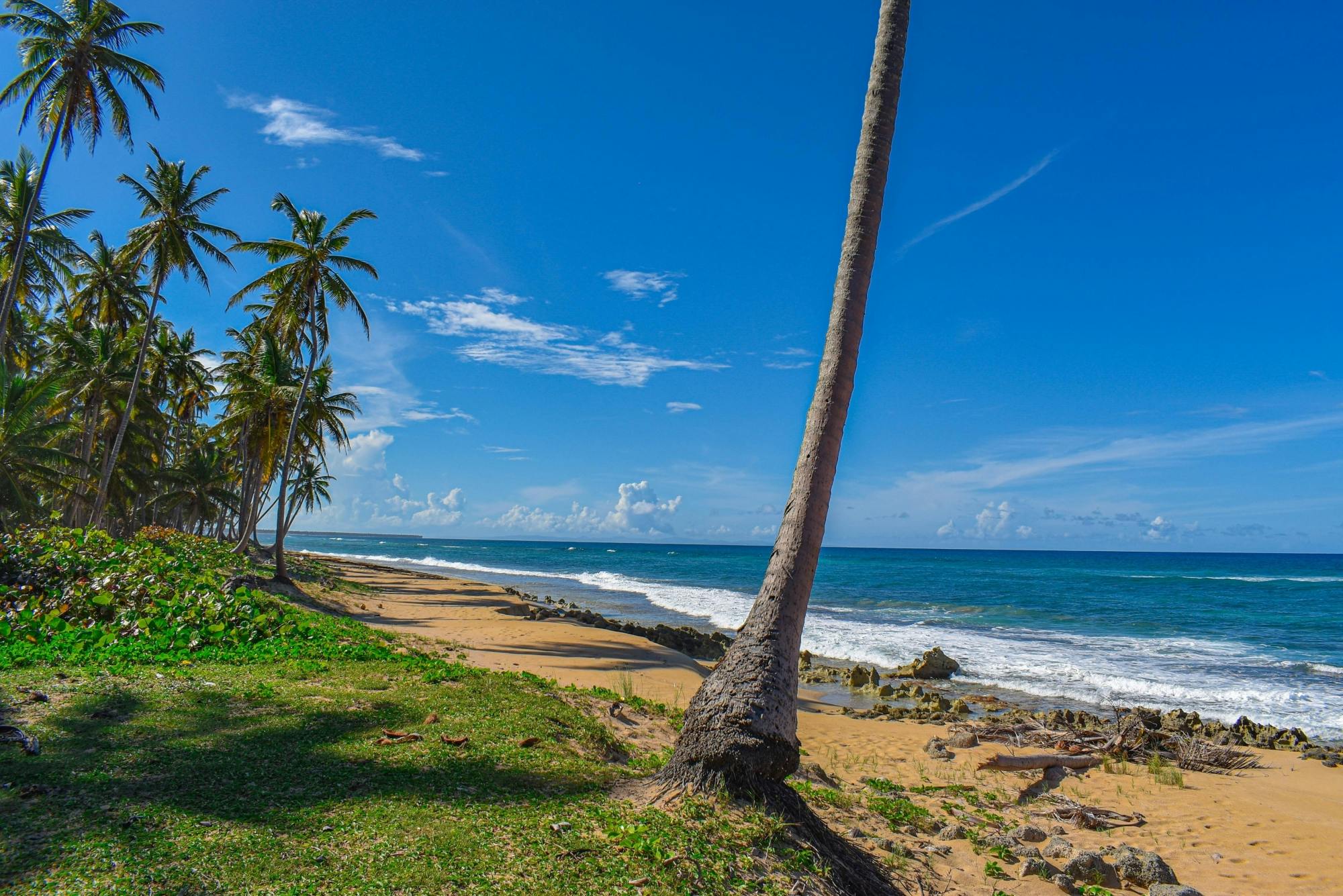 Wild Beach 4x4 Tour with Lunch