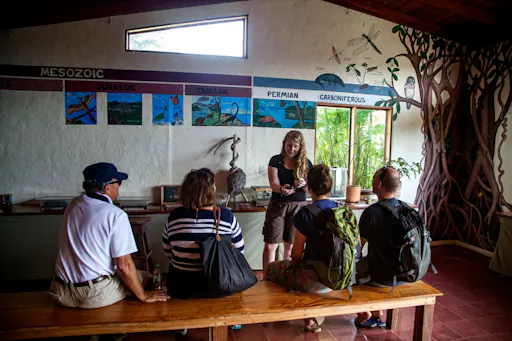 Monteverde Butterfly Garden Ticket