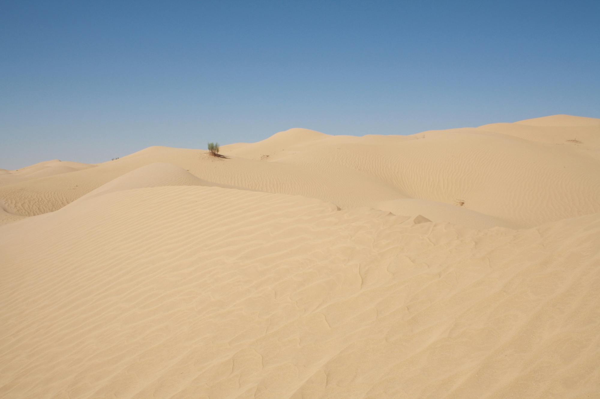 Woestijnsafari bij zonsondergang van een hele dag vanuit Salalah en Mirbat