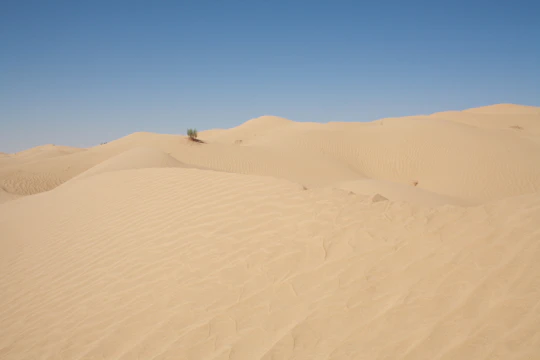 Full-Day Desert Sunset Safari from Salalah and Mirbat