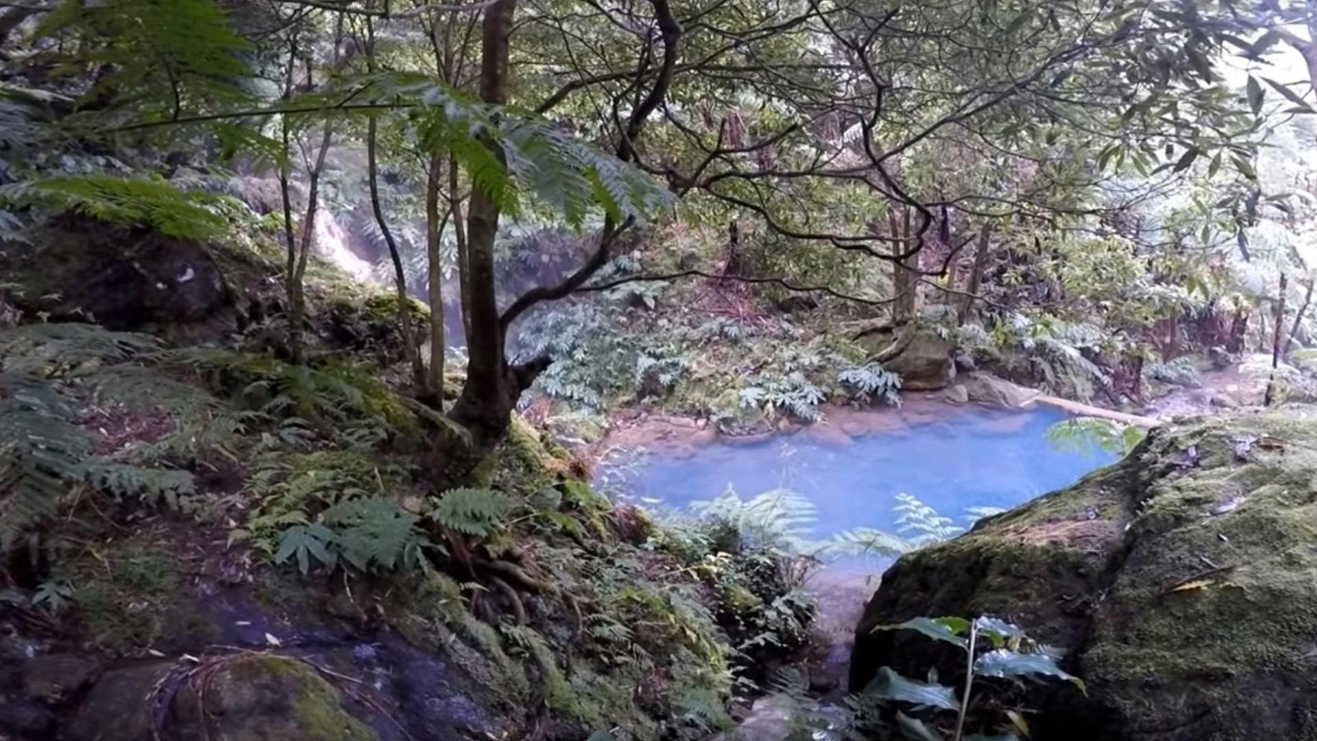 Full-day watching tour with lunch and hot springs at the Lagoa do Fogo