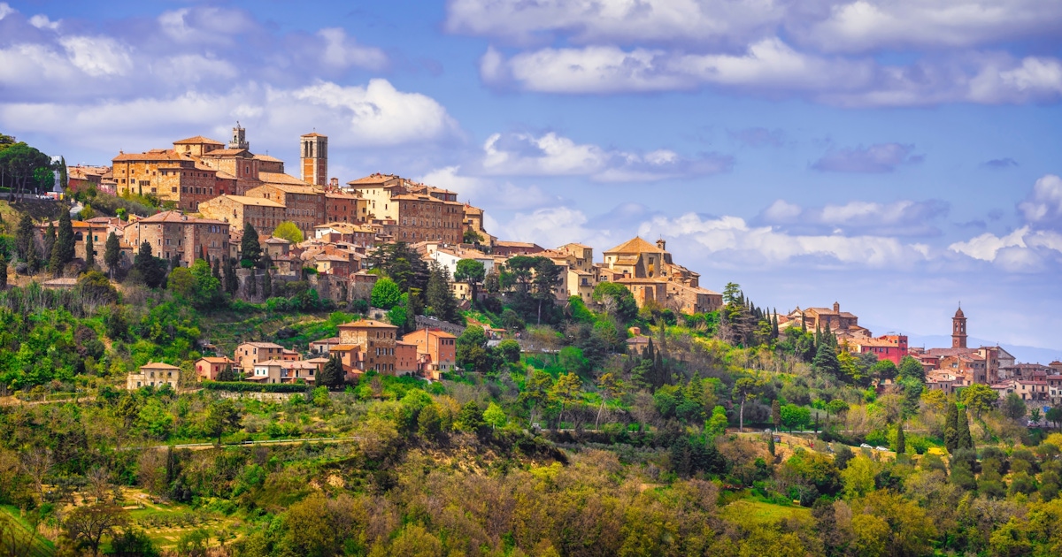 Things to do in Montepulciano : Museums and attractions