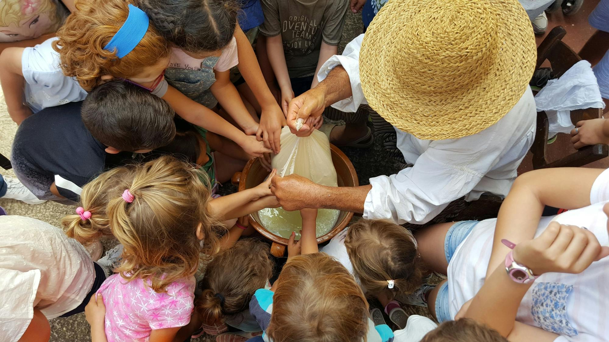 Tour of Rural Menorca with Mahon Cheese Tasting & Lunch