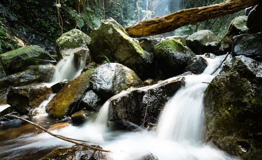 Ng Tung Chai Waterfalls Hiking Tour