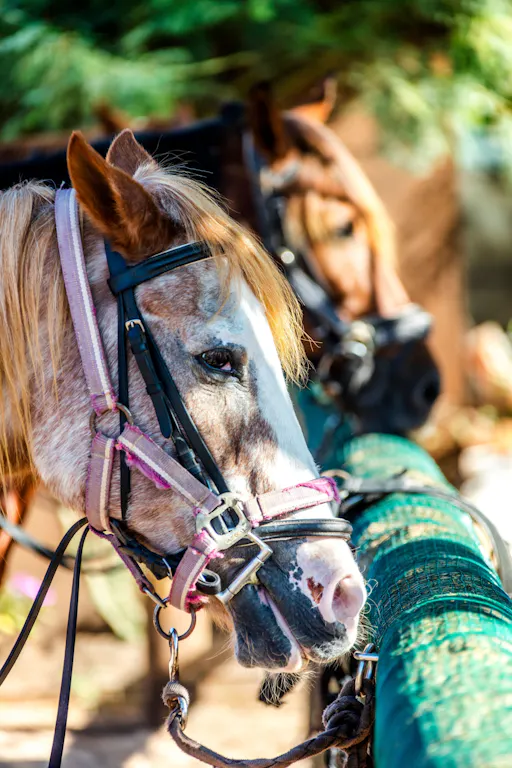 Minoan Activity at Amnesiades Historical Park