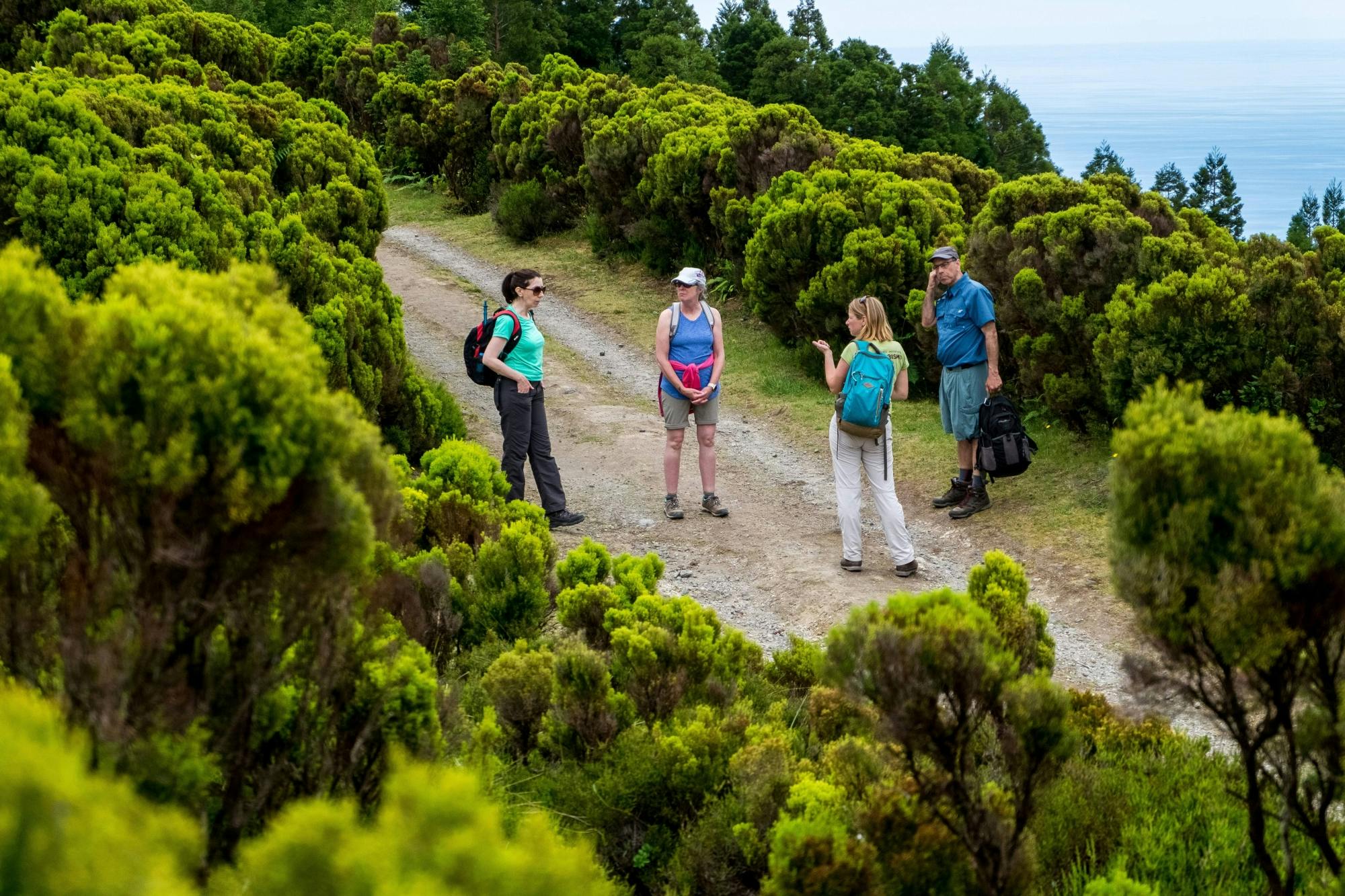 Escursione di un giorno intero al Lago Fogo con picnic