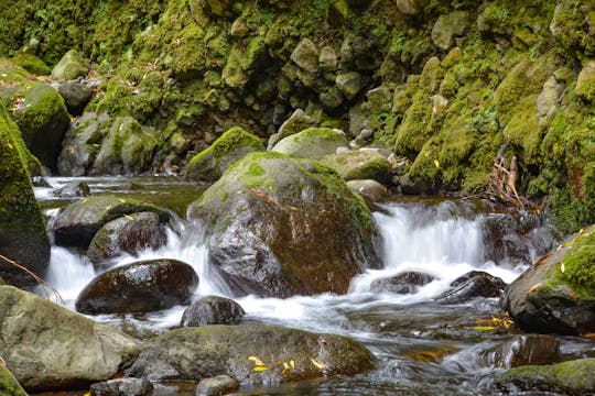 Tagesausfluge Wandertour durch Faial