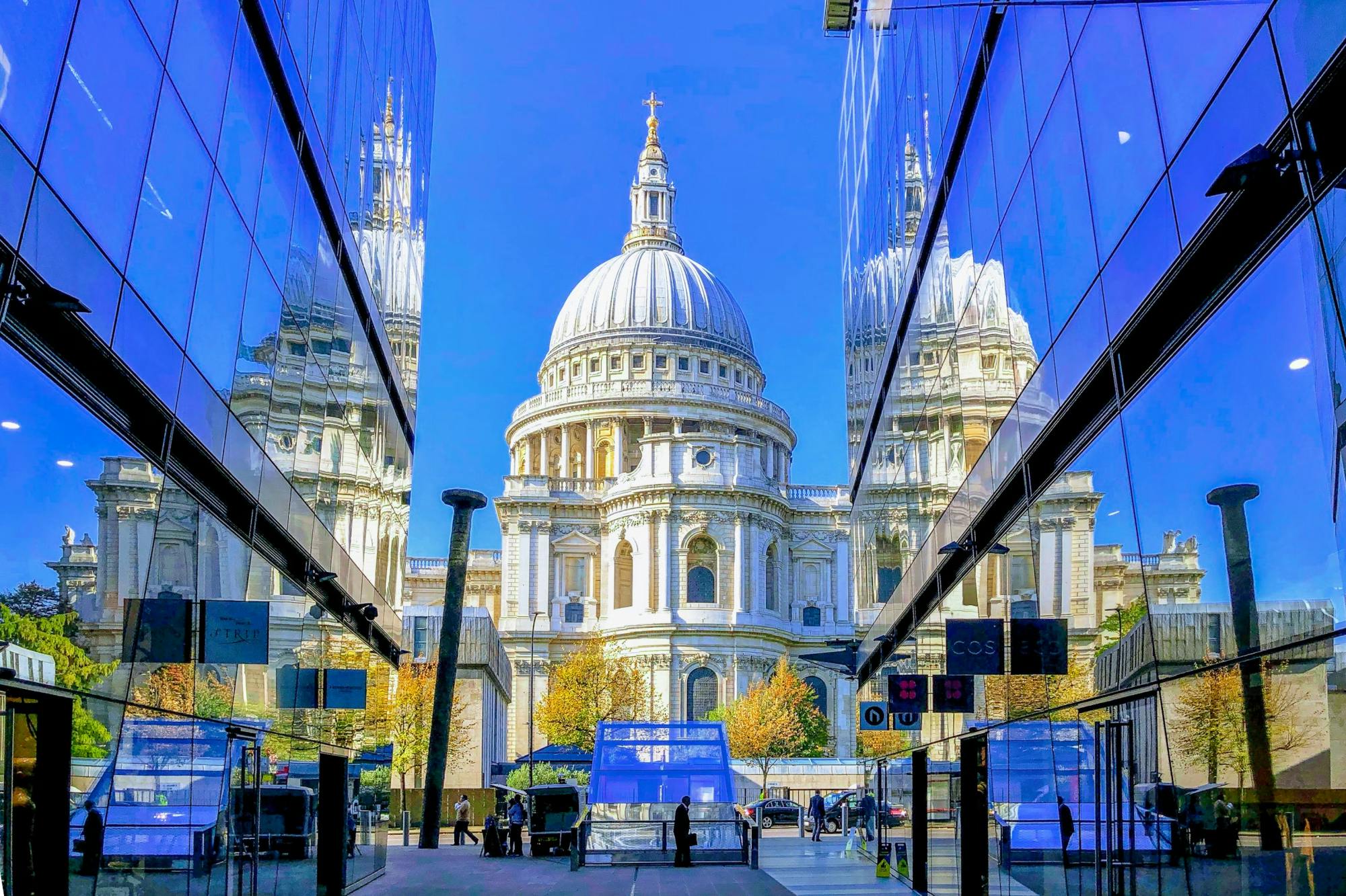 Privérondrit door Londen met taxi en St Paul's Cathedral