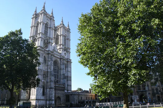 Tour privato in taxi di Londra e Abbazia di Westminster