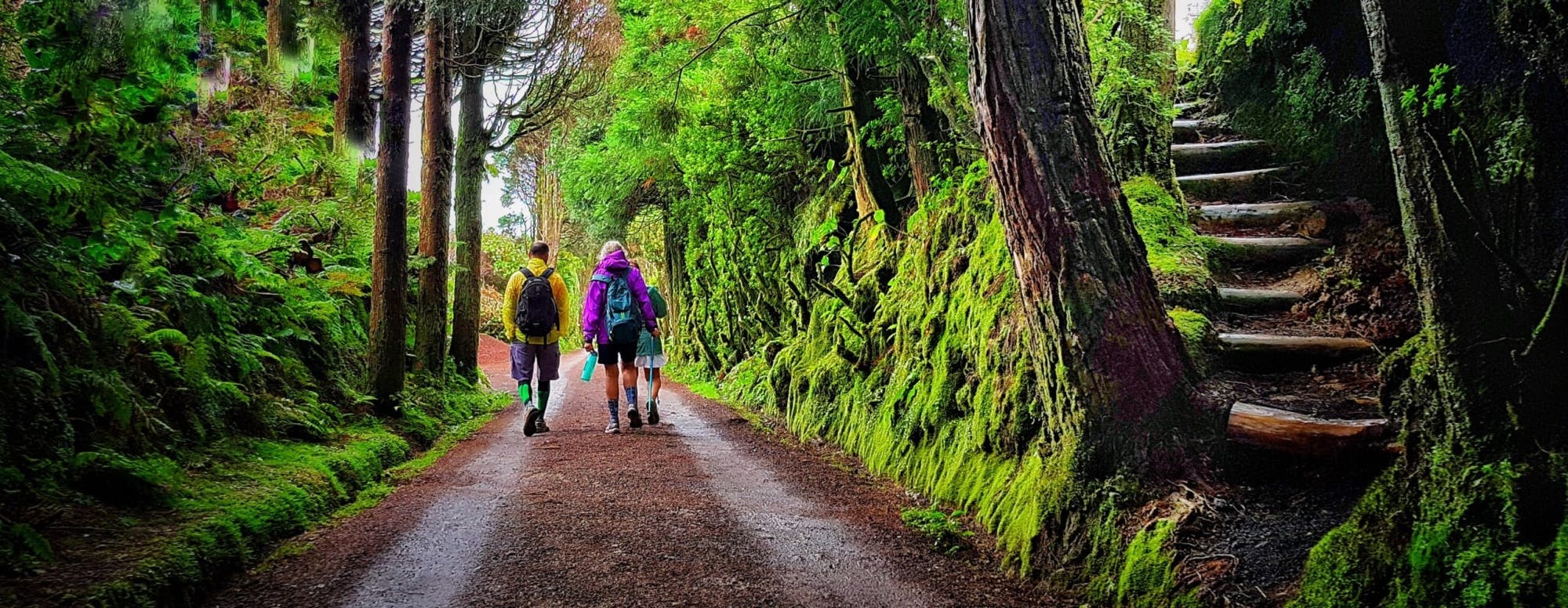 Experiência de caminhada de dia inteiro nas Sete Cidades