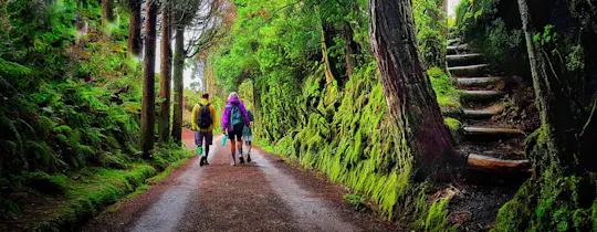 Experiência de caminhada de dia inteiro nas Sete Cidades
