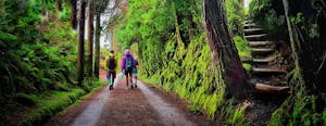 Visitas guiadas e tours em Açores