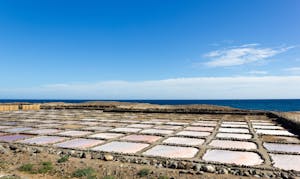 Experiences gastronomiques à Gran Canaria