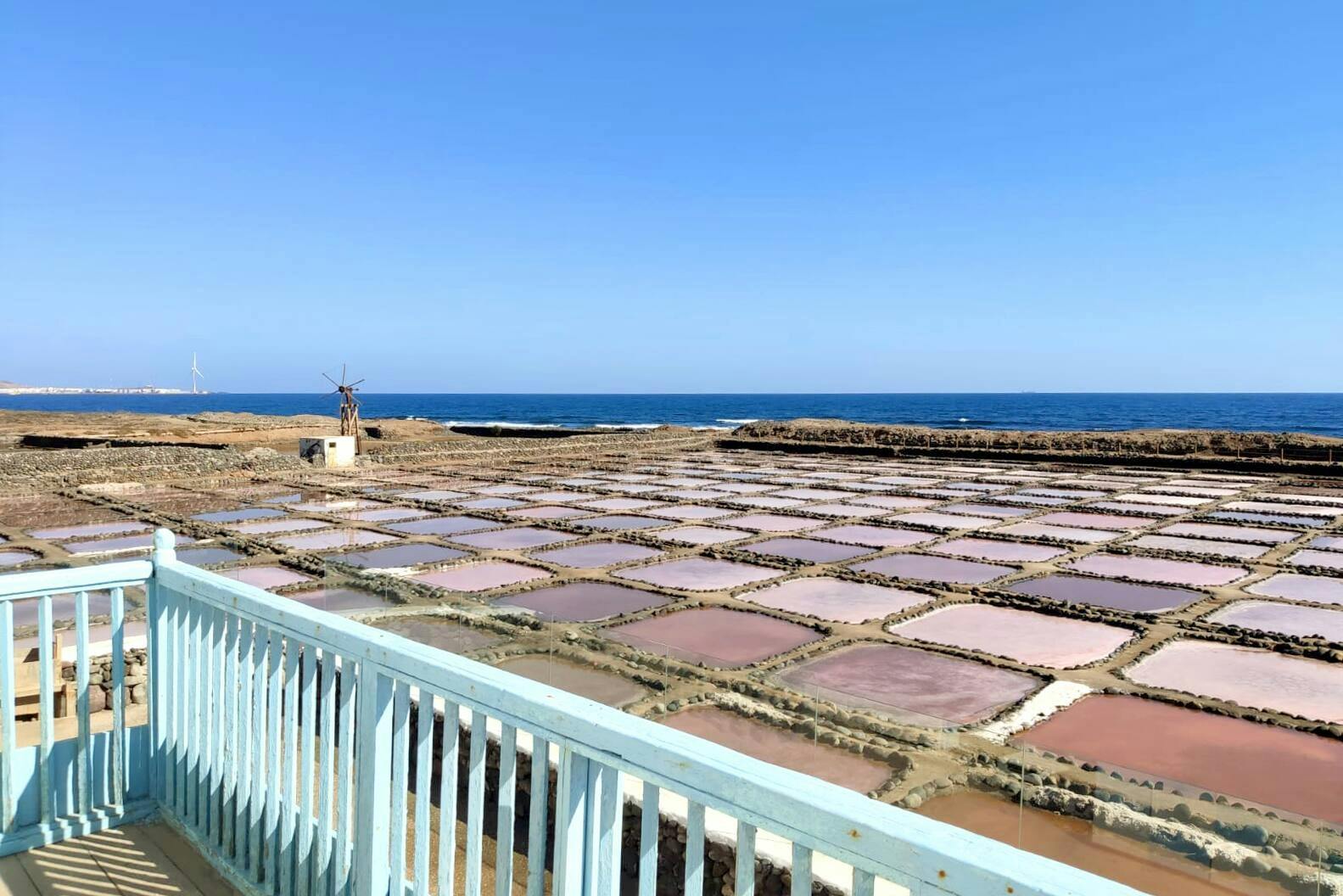 Gran Canaria Food Tour with Distillery Visit and Lunch