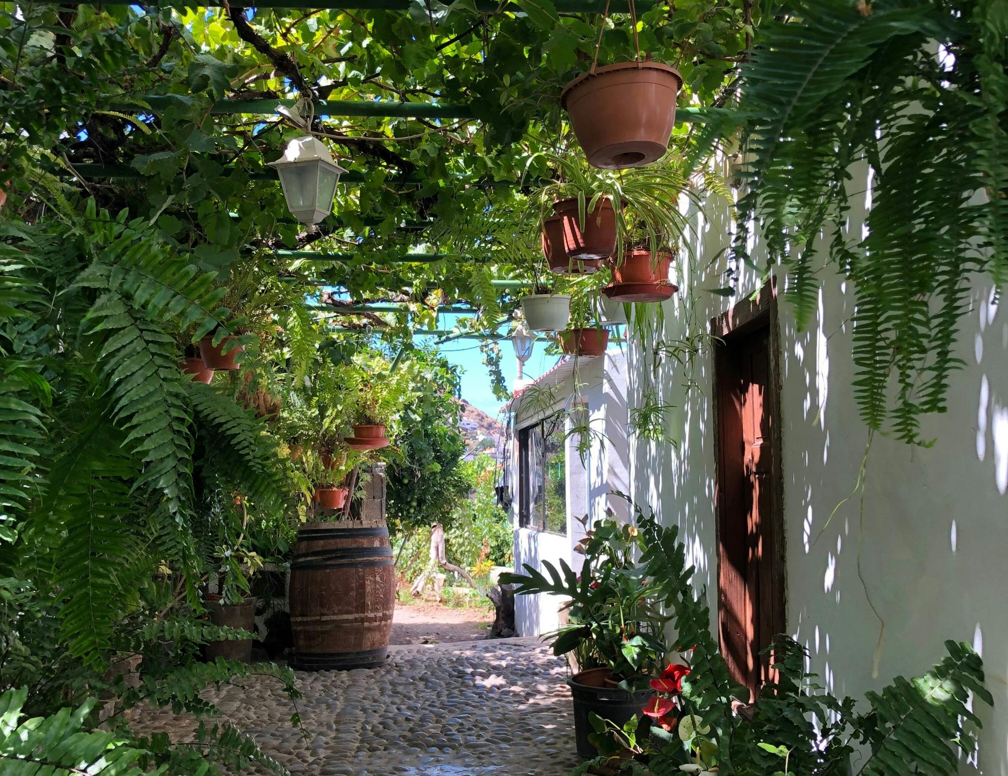 Gran Canaria Food Tour with Distillery Visit and Lunch