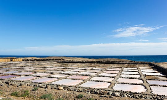 Gran Canarian ruokakierros tislaamovierailulla ja lounaalla