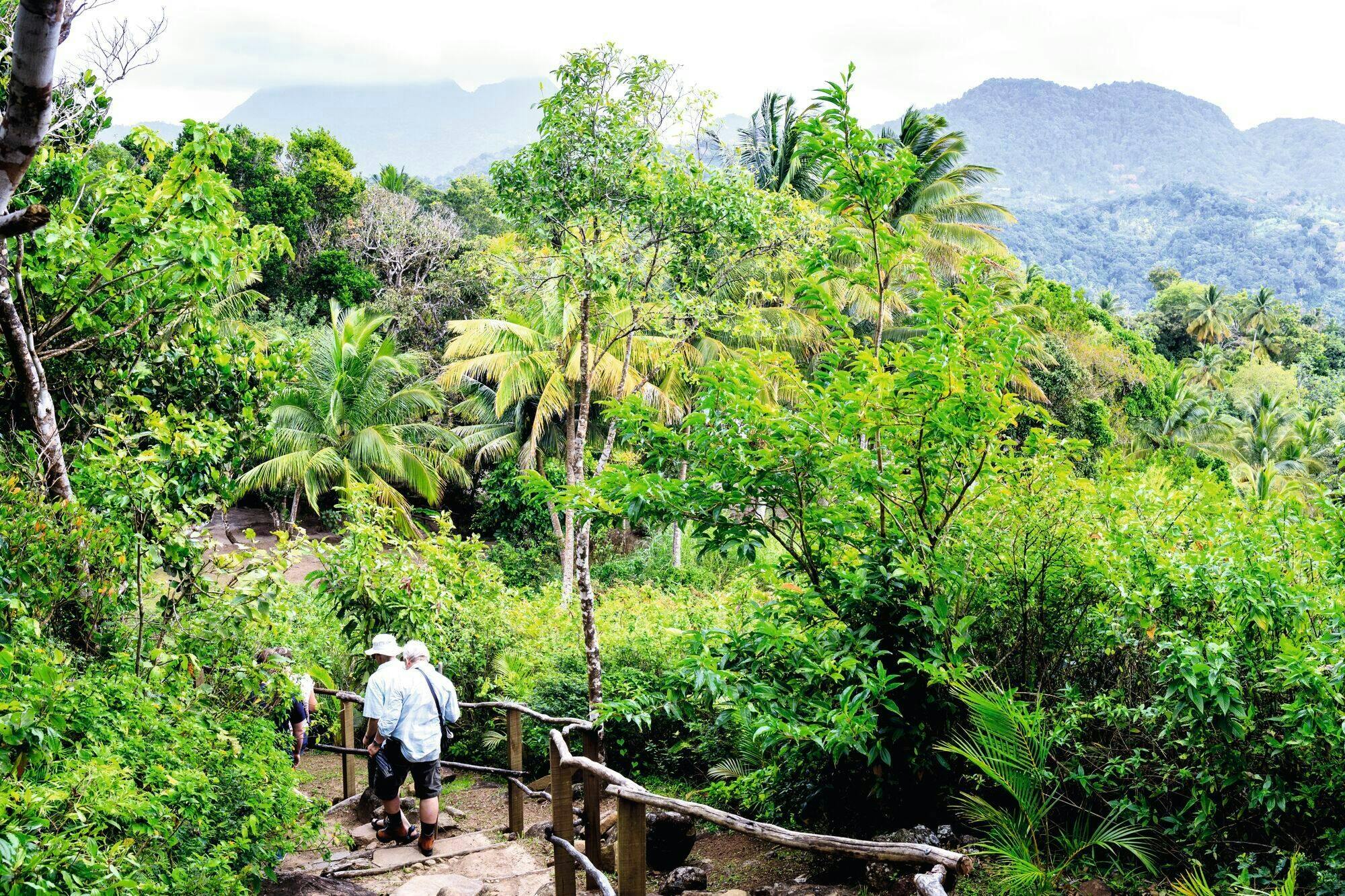 St Lucia Private Tour