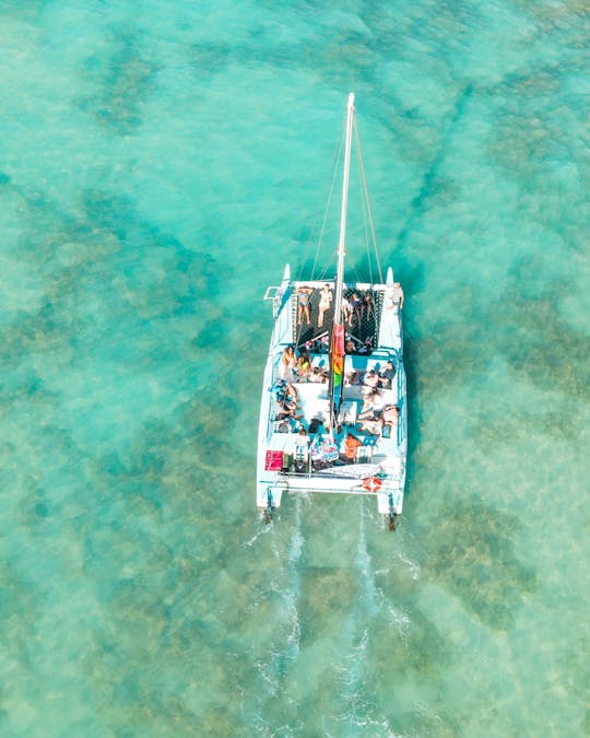 Excursión en catamarán a Dakhla