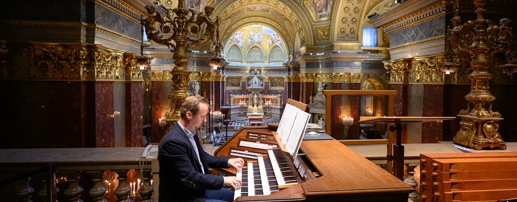 Ingresso alla Basilica di Santo Stefano con concerto d'organo