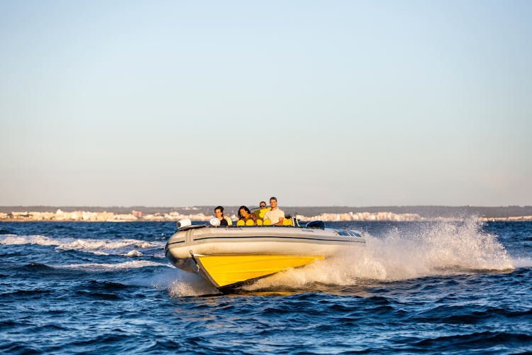 Palma Bay Life & Sea Speedboat Tour