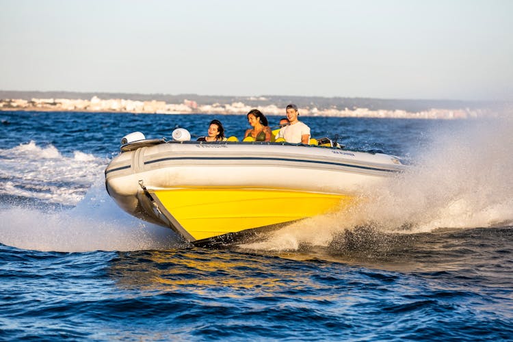 Palma Bay Life & Sea Speedboat Tour