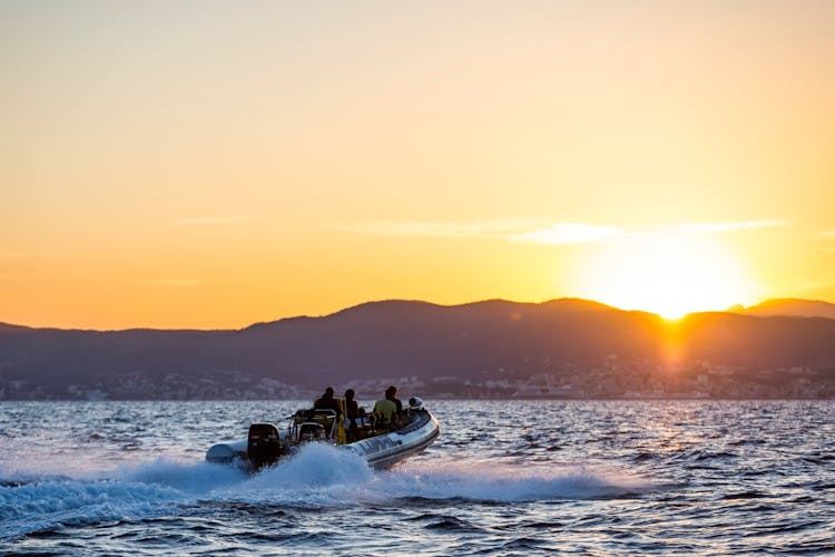 Palma Bay Life & Sea Speedboat Tour