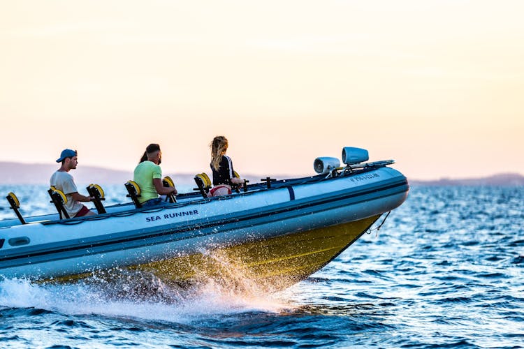 Palma Bay Life & Sea Speedboat Tour