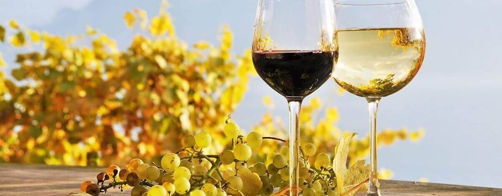 Wine Tour with Izmir Ancient City Metropolis