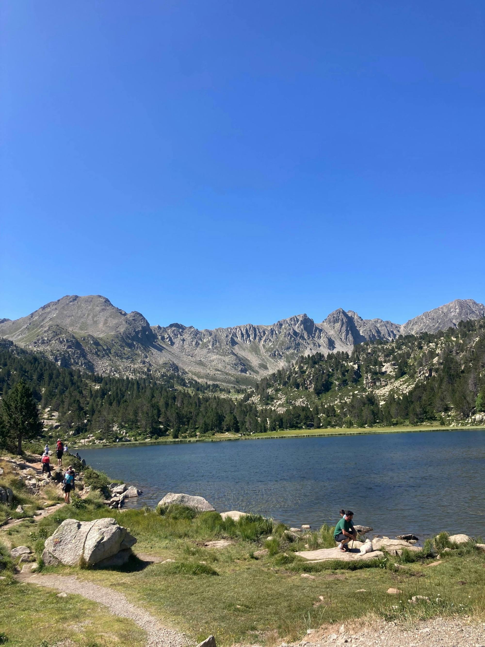 Activity Image