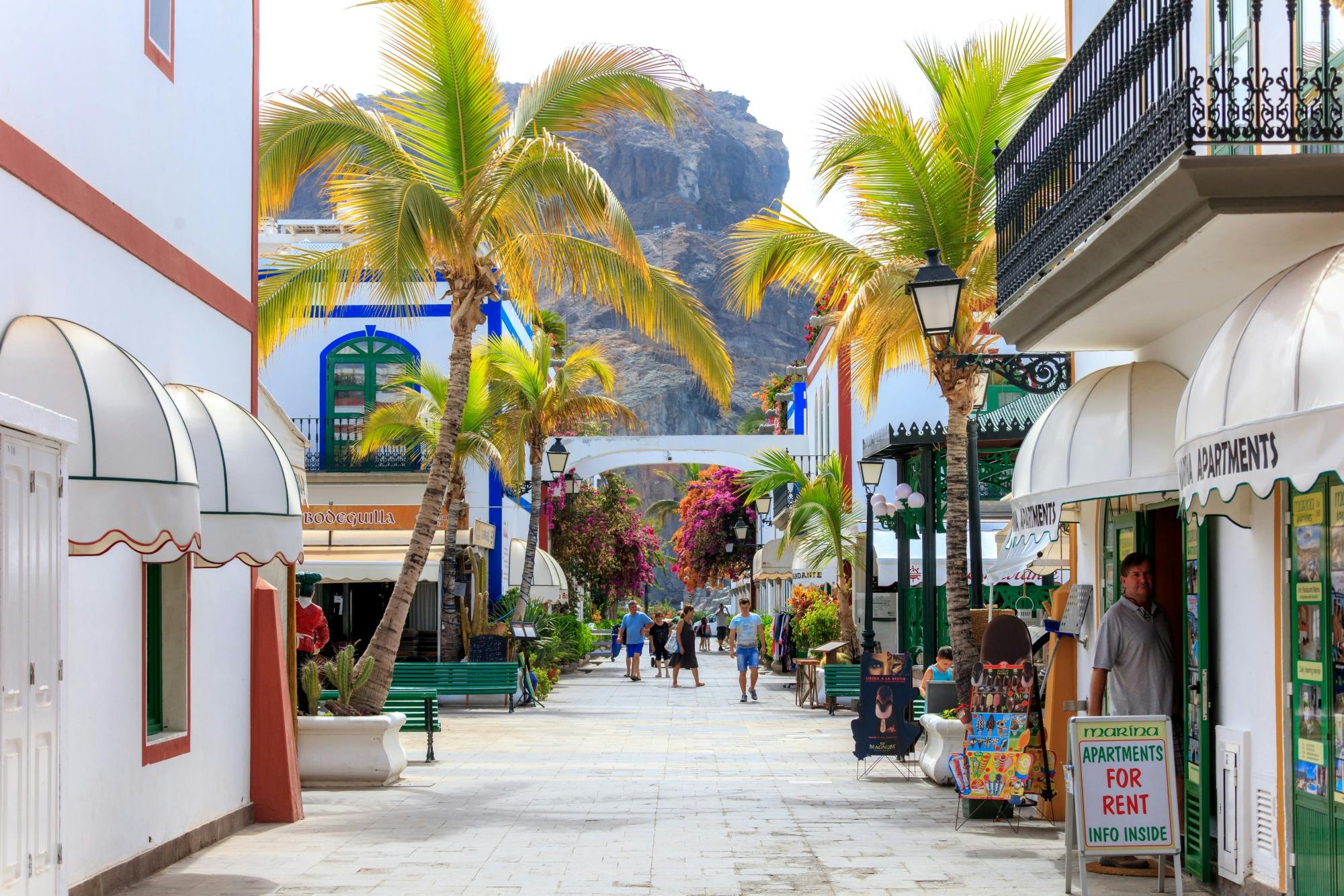 Día de mercado en el Puerto de Mogán