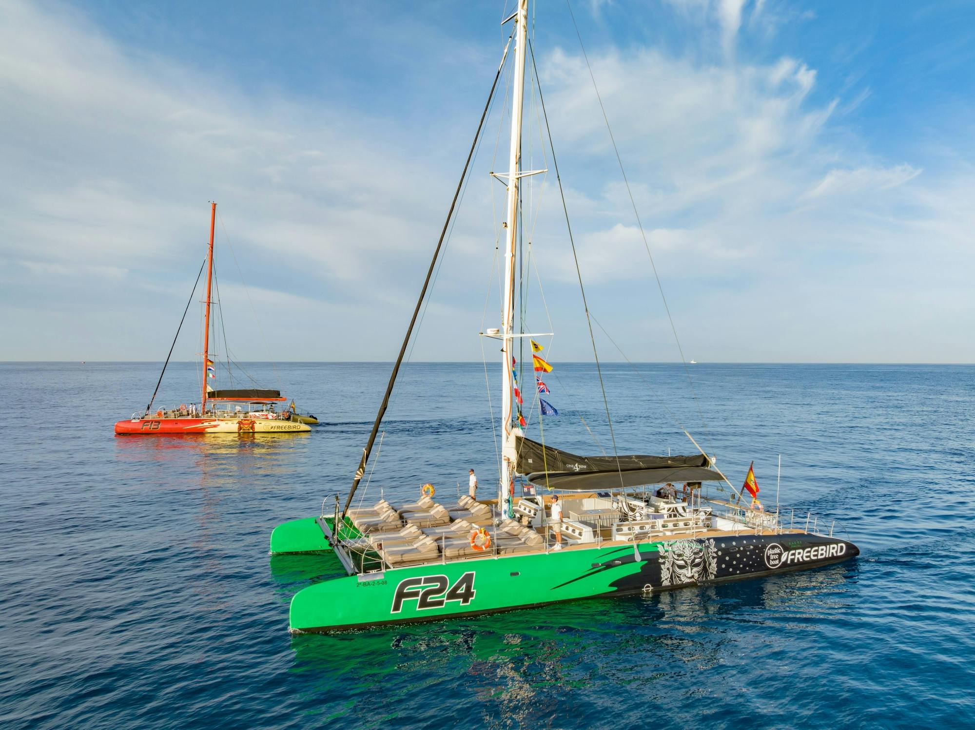 Adults Only Tenerife Freebird Whale & Dolphin Catamaran