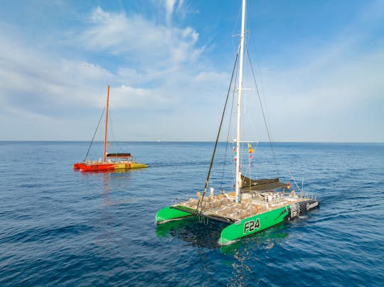 Catamarã Tenerife Freebird para baleias e golfinhos somente para adultos