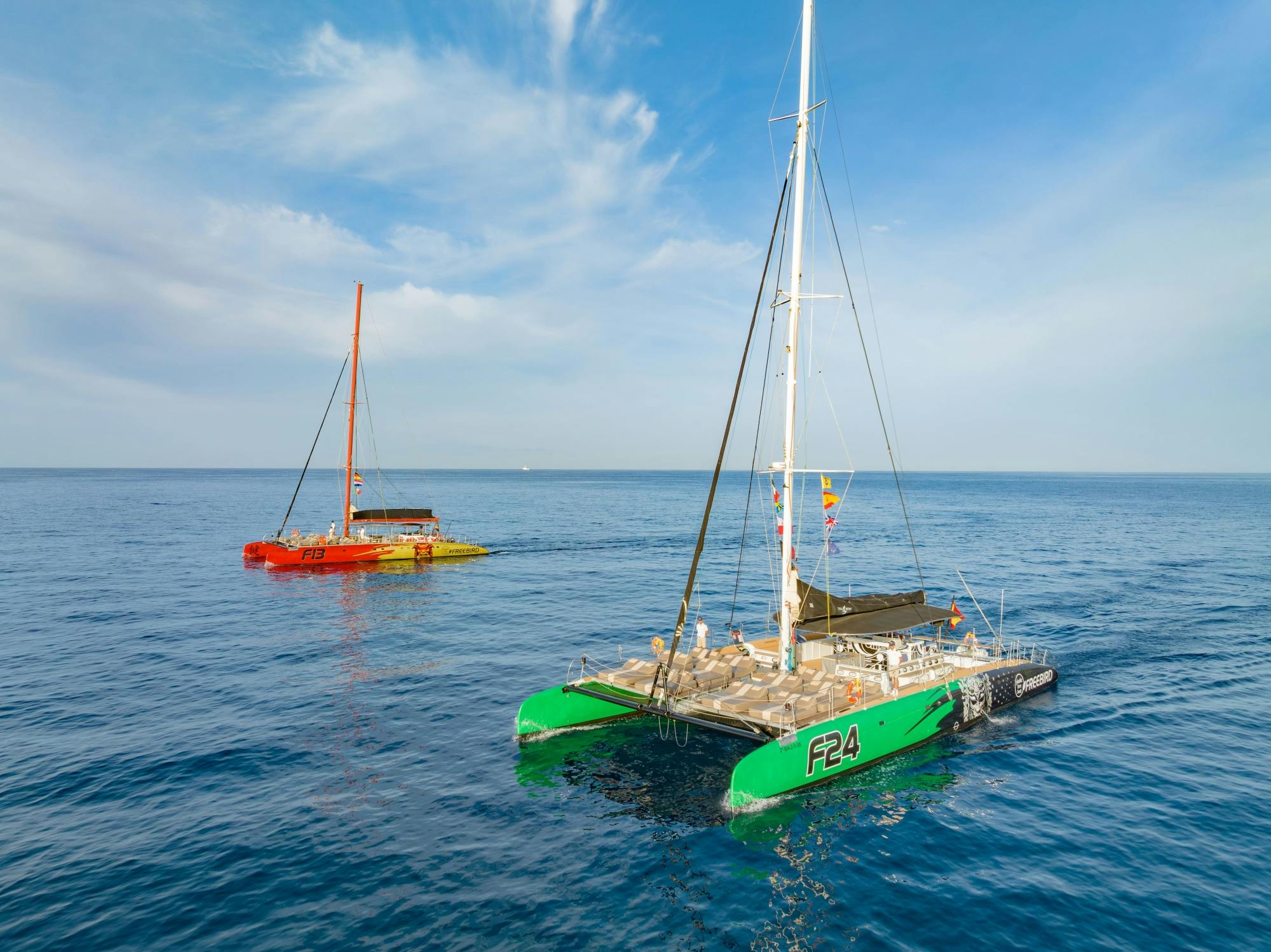 Catamarano Freebird per soli adulti a Tenerife con balene e delfini