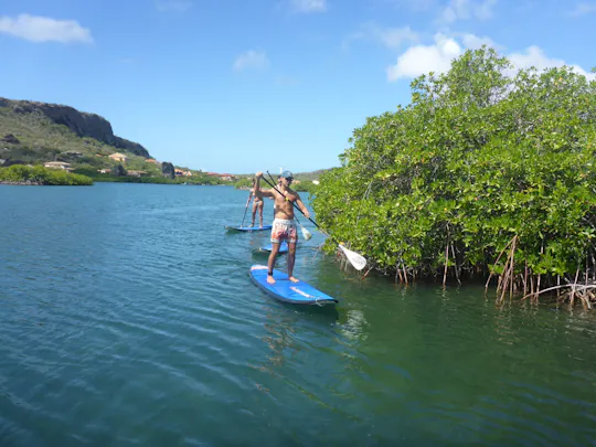 Begeleide stand-up paddle tour