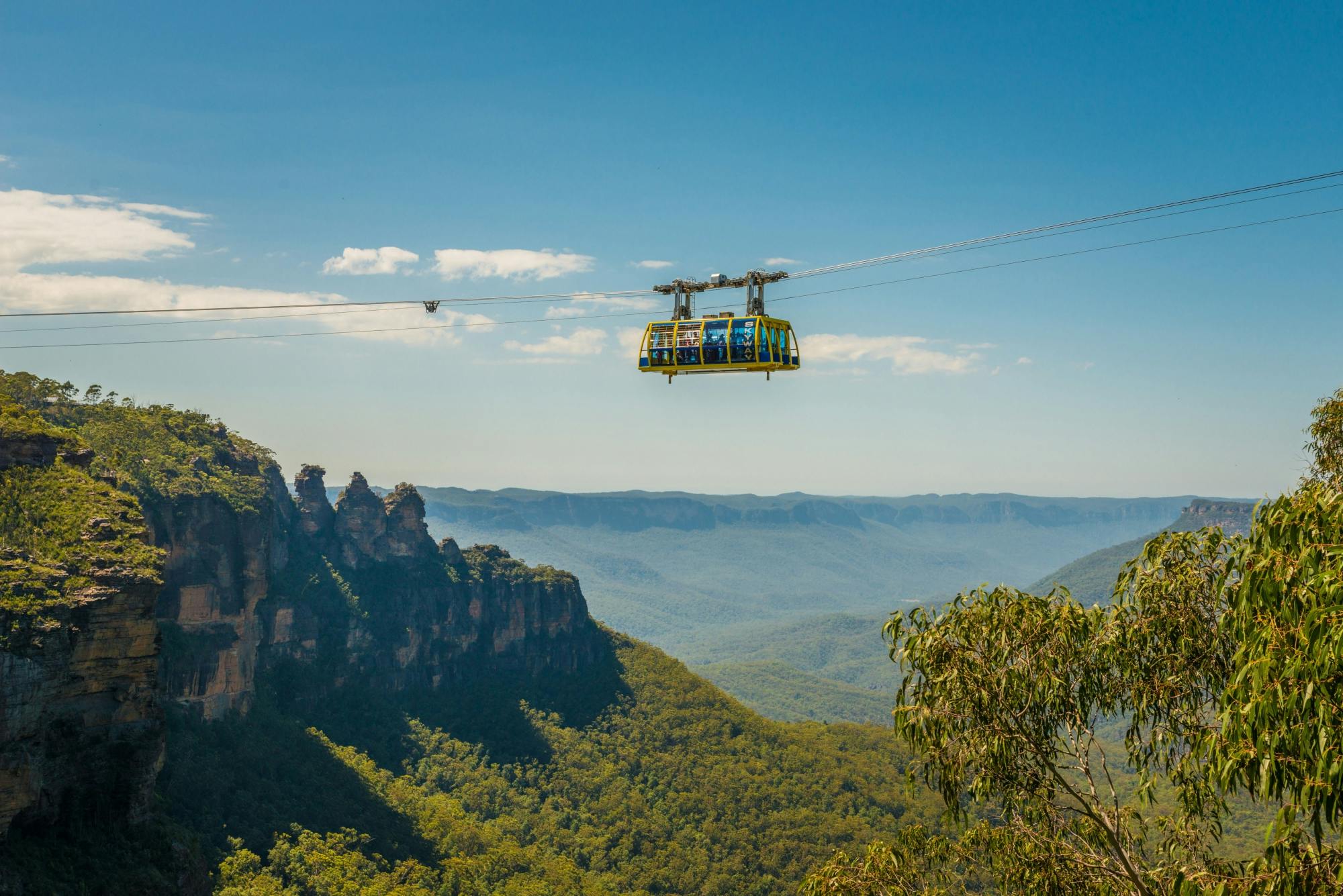 Recorrido por las Montañas Azules con Scenic World, cascadas y zoológico