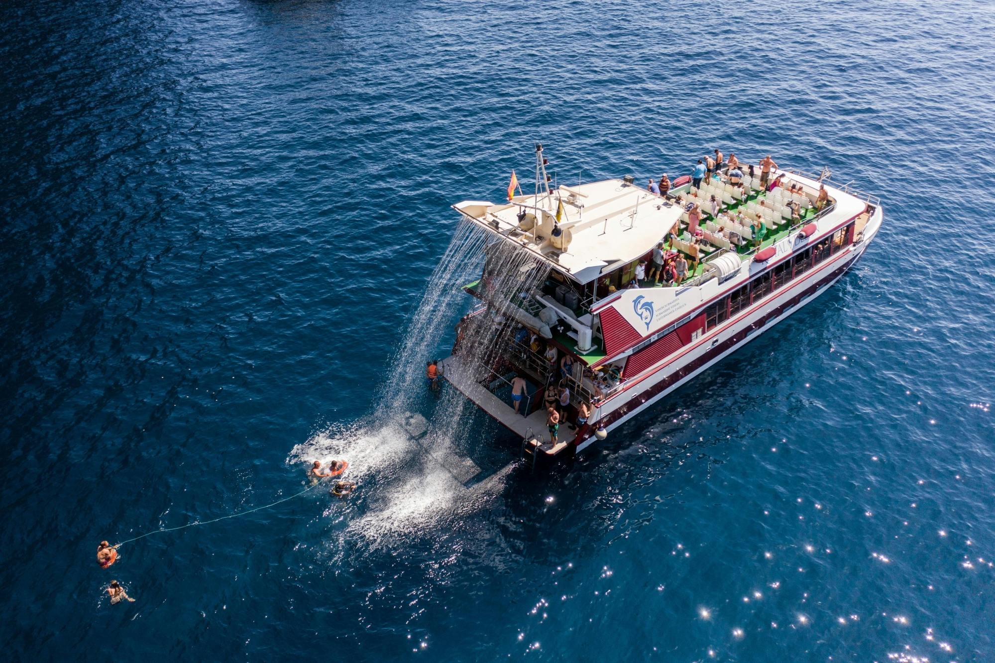 Crociera Royal Delfín di due ore per l'avvistamento delle balene a Tenerife