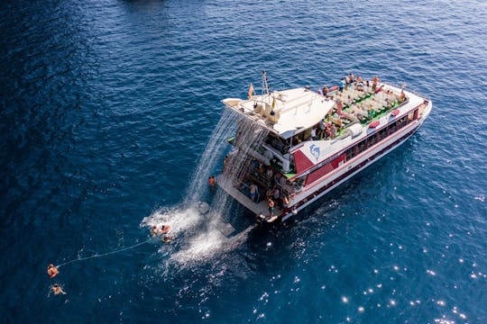 Crociera Royal Delfín di due ore per l'avvistamento delle balene a Tenerife