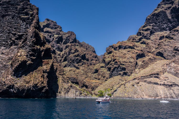 Two-hour whale-watching cruise in Tenerife