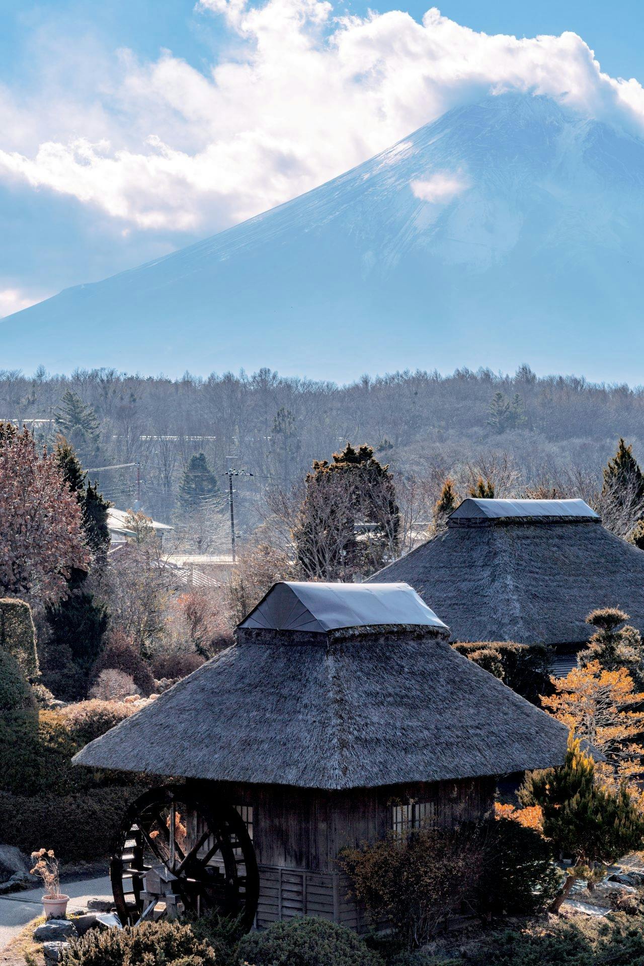 Recorrido fotográfico guiado por el monte Fuji con ceremonia tradicional del té