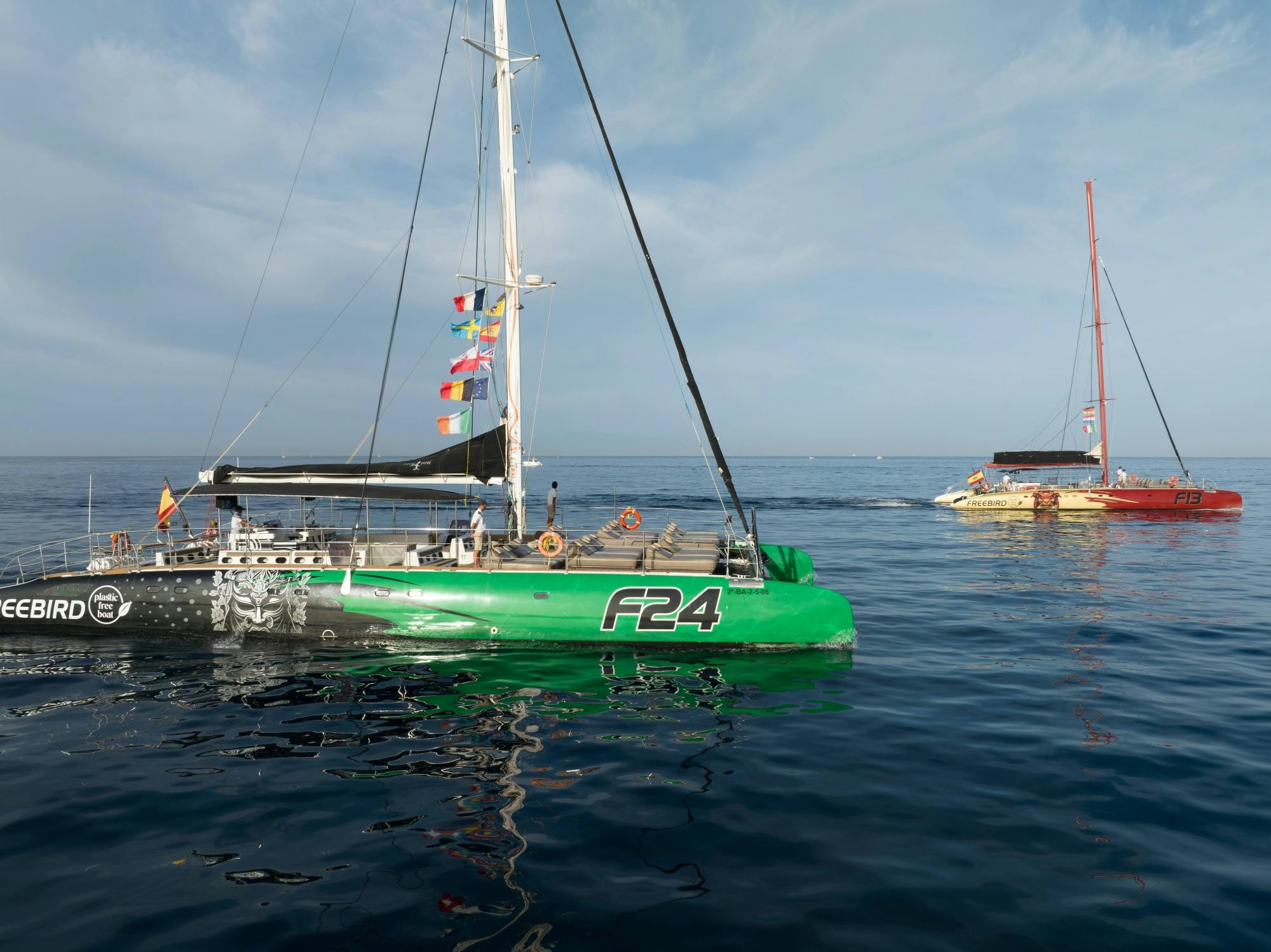 Exclusieve Freebird Catamaran Walvissen & Dolfijnen Safari naar La Caleta