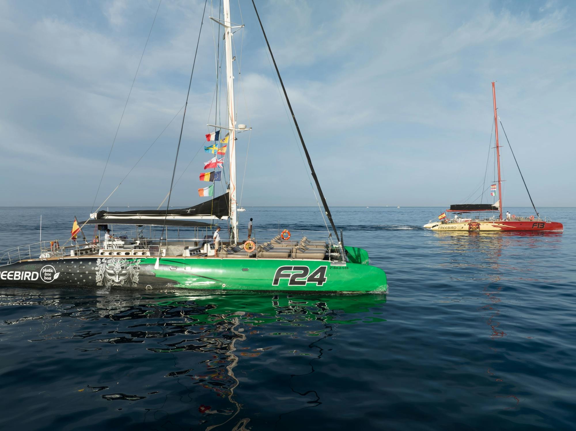 Hval-og delfinobservation på katamaran til La Caleta