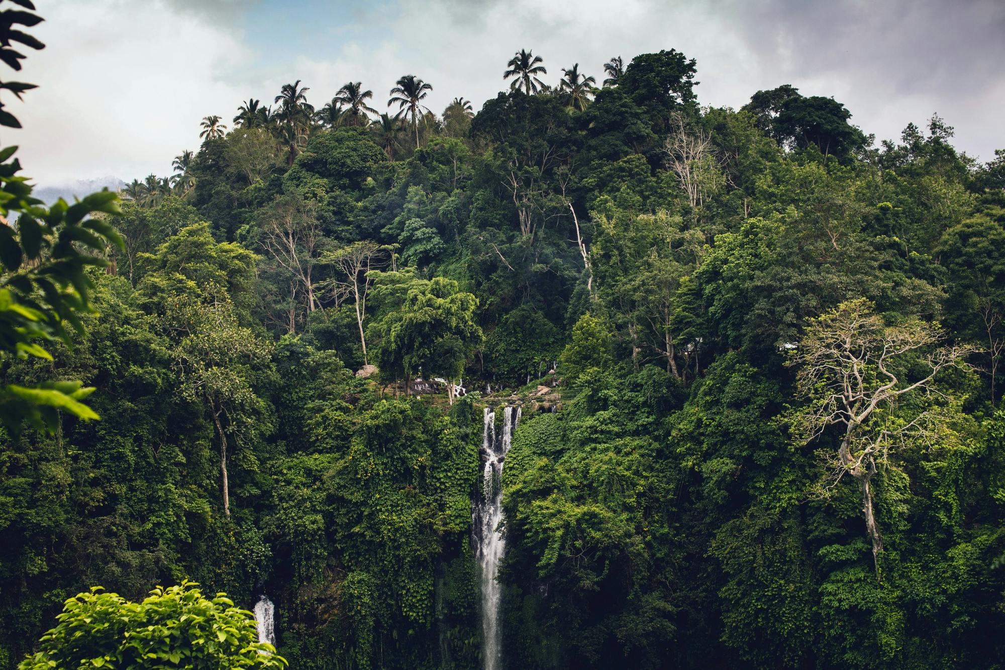 Le nord de Bali : visite privée