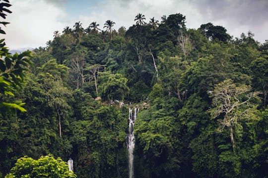 Tour privado por el norte de Bali