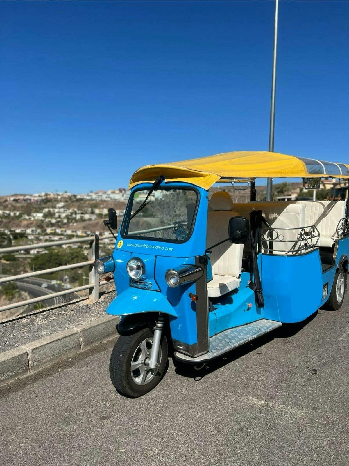 Southern Gran Canaria Tuk-Tuk Tour with Local Market