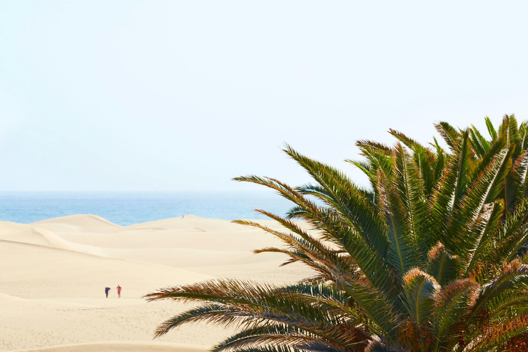 Southern Gran Canaria Tuk-Tuk Tour with Local Market